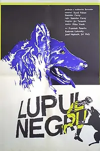 Постер к фильму «Черный волк (1972)»