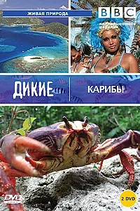 Постер к сериалу «BBC: Дикие Карибы (2007)»