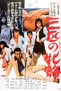 Постер к фильму «三匹の牝蜂 (1970)»