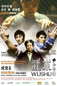 Постер к фильму «Ушу (2008)»