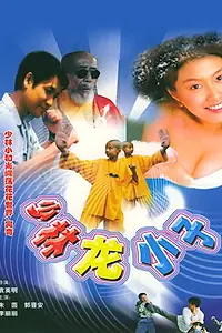 Постер к фильму «Xiao lin lao zu (1995)»
