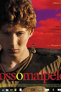 Главный постер фильма «Рыжий (2007)»