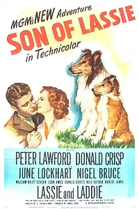 Постер к фильму «Сын Лесси (1945)»