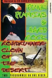 Постер к фильму «Roadrunner (2001)»
