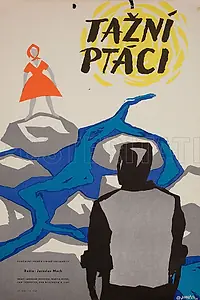 Постер к фильму «Перелётные птицы (1961)»
