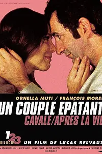 Главный постер фильма «Удивительная пара (2002)»