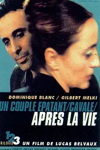 Главный постер фильма «После жизни (2002)»