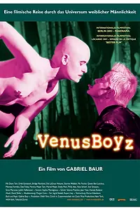 Постер к фильму «Мальчики Венеры (2002)»