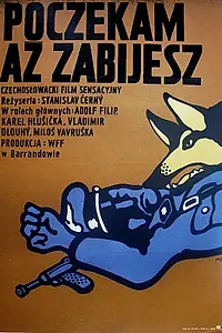 Главный постер фильма «Я подожду, пока ты убьешь (1973)»