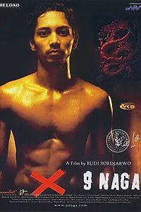 Постер к фильму «9 драконов (2006)»
