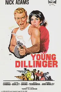 Постер к фильму «Молодой Диллинджер (1965)»