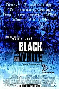 Постер к фильму «Черное и белое (1999)»
