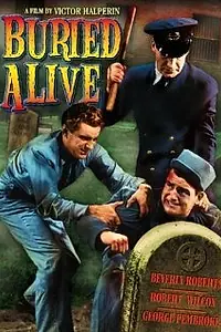 Постер к фильму «Buried Alive (1939)»