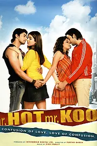 Постер к фильму «Mr. Hot Mr. Kool (2007)»