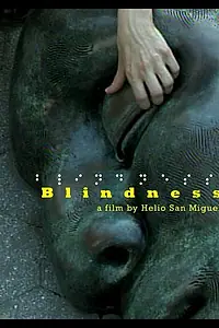 Постер к фильму «Blindness (2007)»