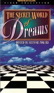 Постер к фильму «The Secret World of Dreams (1995)»