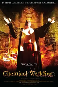 Главный постер фильма «Химическая свадьба (2008)»