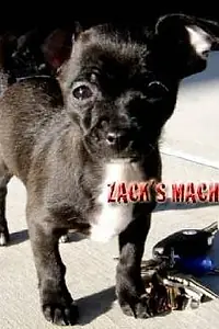 Постер к фильму «Zack's Machine (2007)»