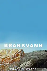 Постер к фильму «Brakkvann (2007)»