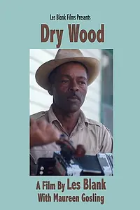 Главный постер фильма «Dry Wood (1973)»