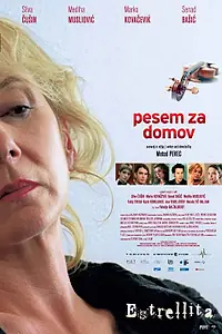 Главный постер фильма «Эстрелита (2007)»