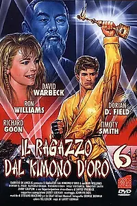 Главный постер фильма «Золотое кимоно воина 6 (1993)»