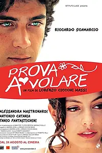 Постер к фильму «Он пытается лететь (2007)»
