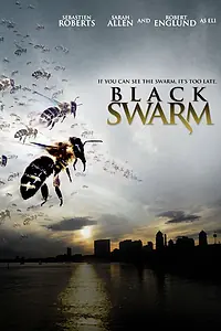 Главный постер фильма «Черный рой (2007)»