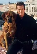 Постер к сериалу «Собачье дело (2000 - 2001)»