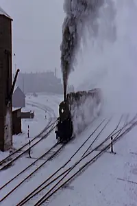 Постер к фильму «Down North (1958)»