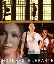 Главный постер фильма «Женщины слоны (2007)»