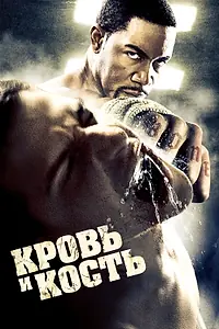 Постер к фильму «Кровь и кость (2009)»