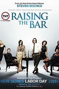 Постер к сериалу «Адвокатская практика (2008 - 2009)»