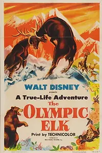 Постер к фильму «The Olympic Elk (1952)»