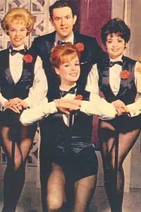 Постер к сериалу «Harry's Girls (1963)»
