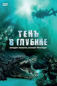 Постер к фильму «Тень в глубине (2007)»