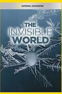 Постер к фильму «National Geographic: The Invisible World (1980)»