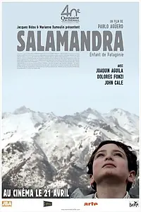 Постер к фильму «Саламандра (2008)»