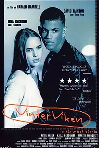 Главный постер фильма «Зимний залив (1996)»