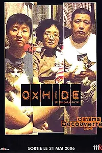 Постер к фильму «Шкура быка (2005)»