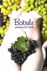 Постер к фильму «Ягоды (2008)»