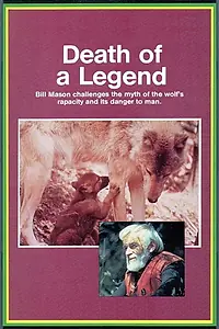 Главный постер фильма «Death of a Legend (1971)»