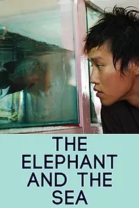 Главный постер фильма «The Elephant and the Sea (2007)»