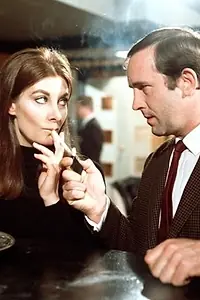 Постер к сериалу «Осведомитель (1966 - 1967)»
