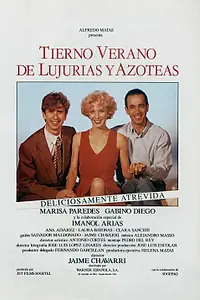 Главный постер фильма «Ласковое лето страсти и открытых террас (1993)»