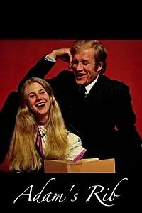 Главный постер сериала «Ребро Адама (1973)»