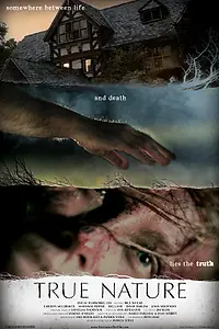 Постер к фильму «Истинная суть (2011)»