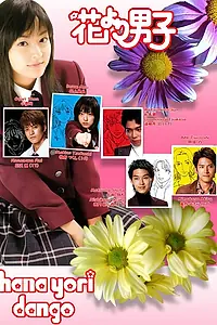 Постер к сериалу «Цветочки после ягодок (2005)»