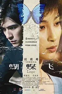 Главный постер фильма «Задержавшийся (2008)»