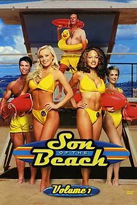 Постер к сериалу «SOSатели Малибу (2000 - 2002)»